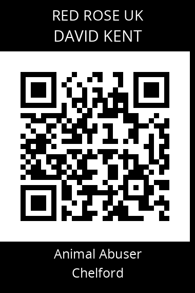 QR code for david-kent