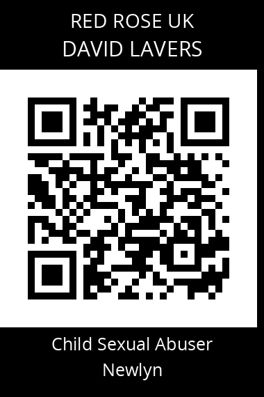 QR code for david-lavers