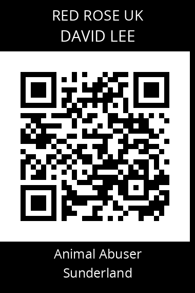 QR code for david-lee-1
