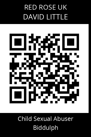 QR code for david-little