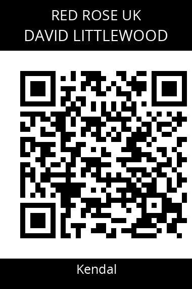 QR code for david-littlewood-1