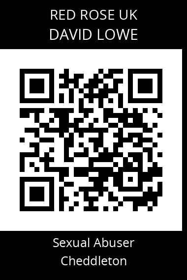 QR code for david-lowe-1