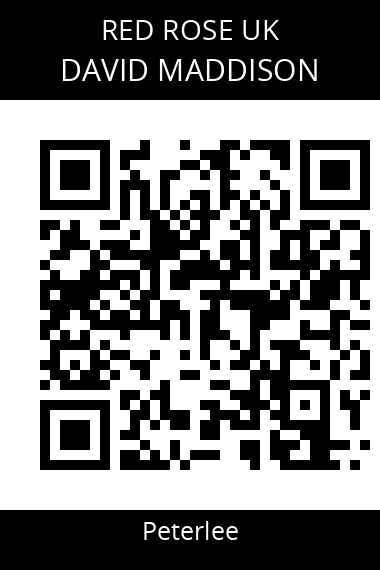 QR code for david-maddison-lqrpbg