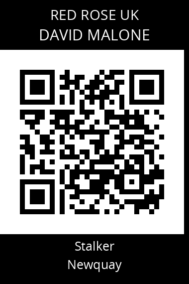 QR code for david-malone