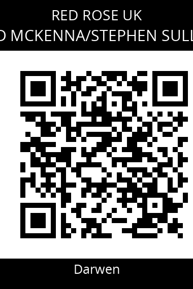 QR code for david-mckennastephen-sullivan