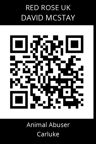 QR code for david-mcstay
