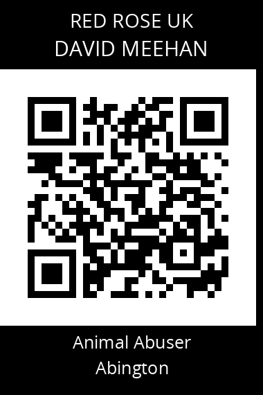QR code for david-meehan