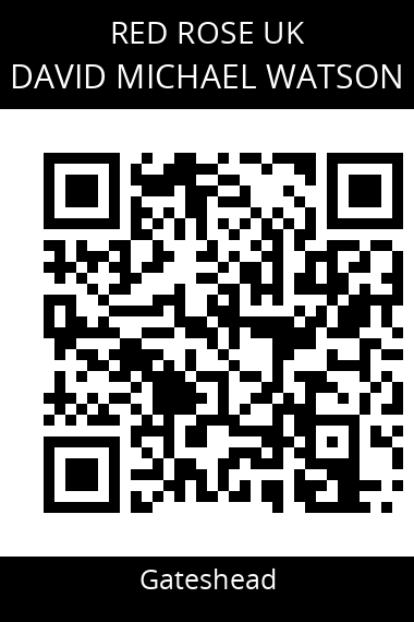 QR code for david-michael-watson