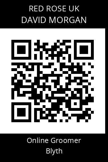 QR code for david-morgan-5