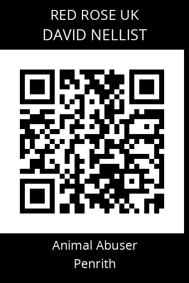 QR code for david-nellist