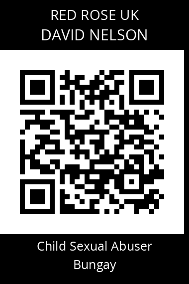 QR code for david-nelson-1