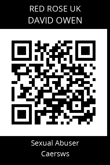 QR code for david-owen-2