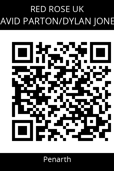 QR code for david-partondylan-jones