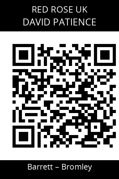QR code for david-patience-blui27