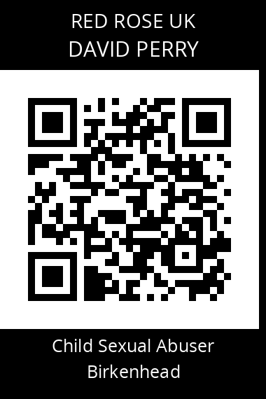 QR code for david-perry-1