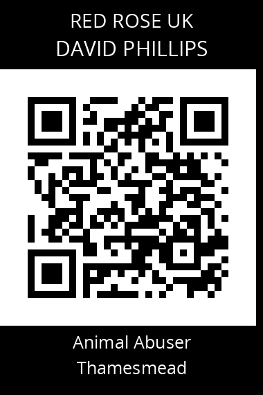 QR code for david-phillips-2