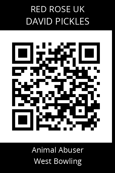 QR code for david-pickles
