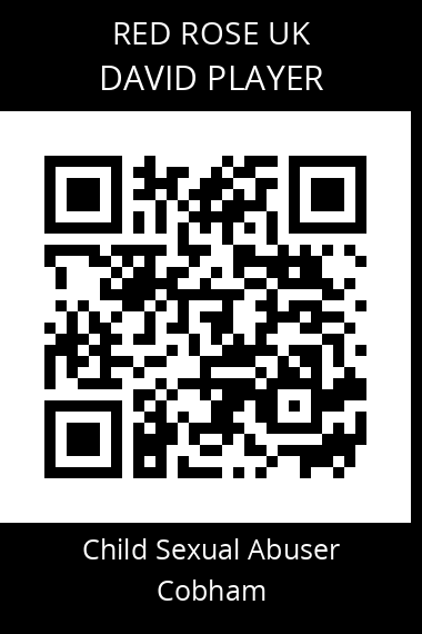 QR code for david-player