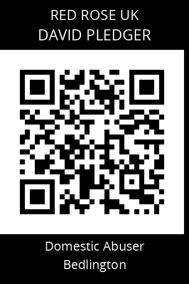 QR code for david-pledger