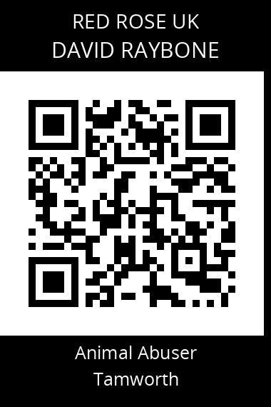 QR code for david-raybone