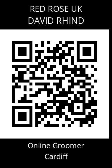 QR code for david-rhind