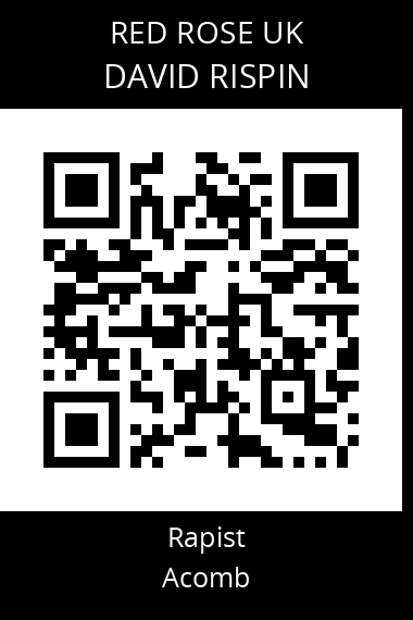 QR code for david-rispin-1