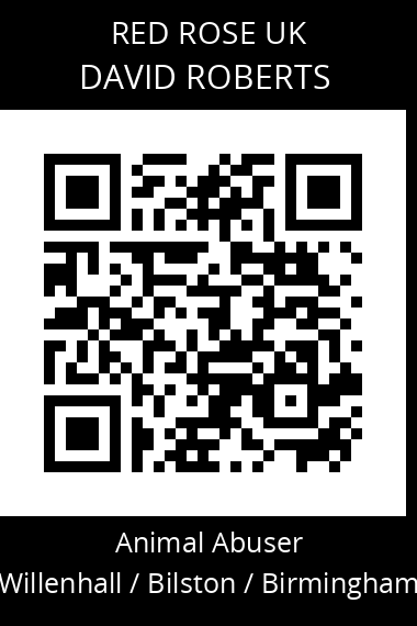 QR code for david-roberts-13