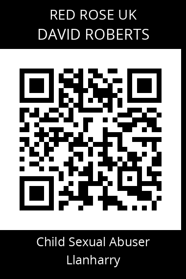 QR code for david-roberts-3