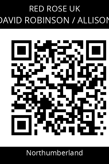 QR code for david-robinson-allison