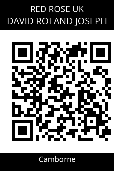 QR code for david-roland-joseph