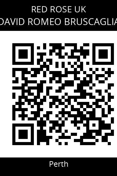QR code for david-romeo-bruscaglia