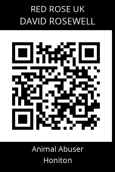 QR code for david-rosewell