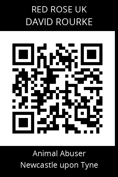 QR code for david-rourke