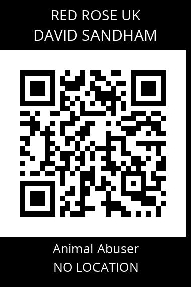 QR code for david-sandham