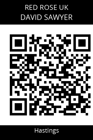 QR code for david-sawyer-hahq1g