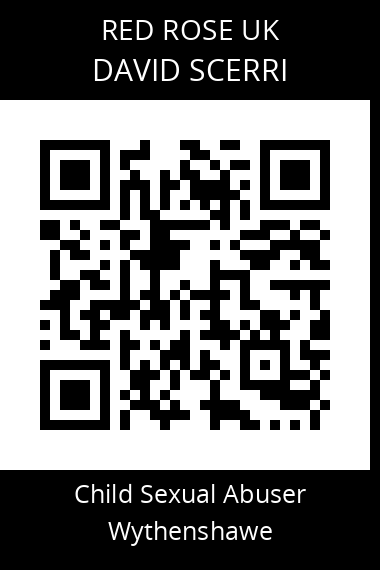 QR code for david-scerri