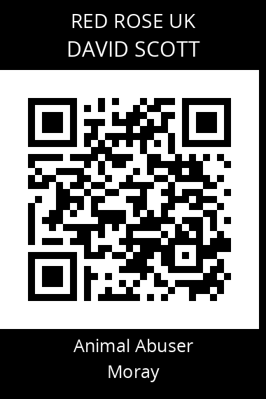 QR code for david-scott-7
