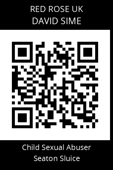 QR code for david-sime