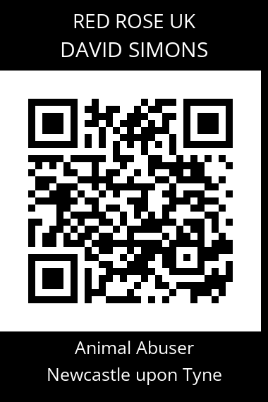 QR code for david-simons