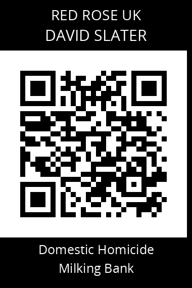 QR code for david-slater-2