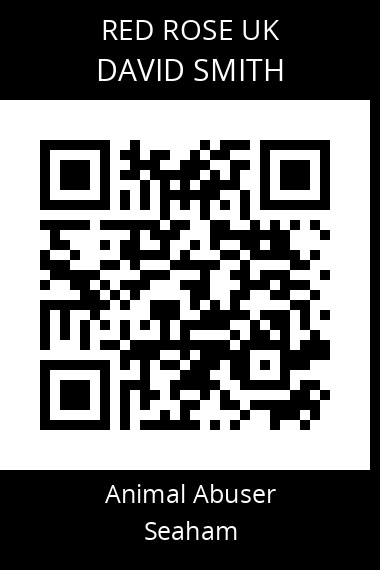 QR code for david-smith-28