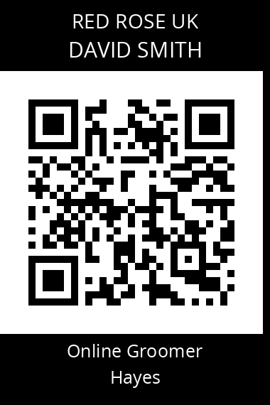 QR code for david-smith-32