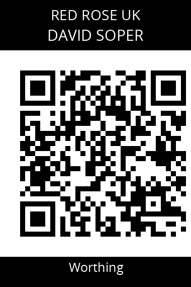 QR code for david-soper-hv99ch