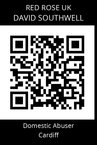 QR code for david-southwell-1
