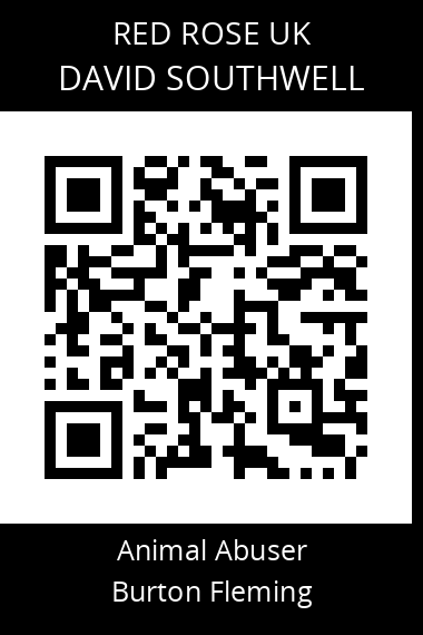 QR code for david-southwell