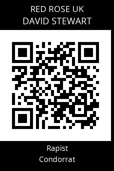 QR code for david-stewart