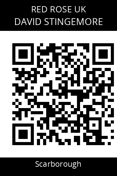 QR code for david-stingemore-1