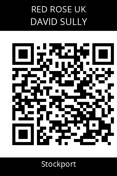 QR code for david-sully-m3n3aq