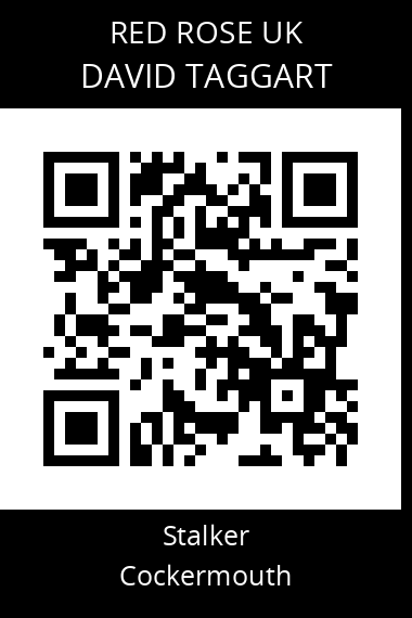 QR code for david-taggart