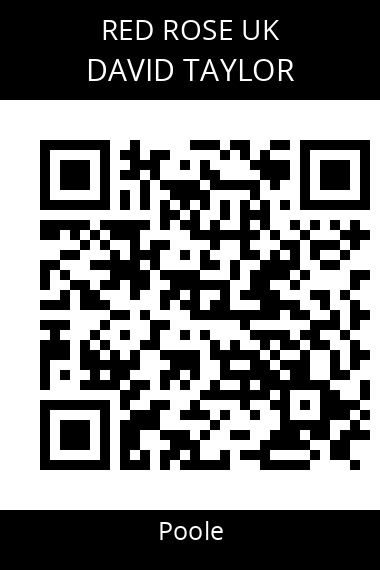 QR code for david-taylor-hlt0lh